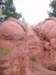 redrockformation6_small.jpg