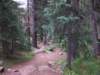 _0110_small.jpg